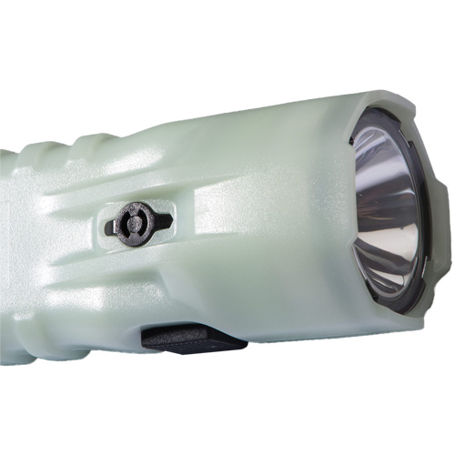Flashlight, LED, 378 Lumens, AA Batteries Ontario Packaging
