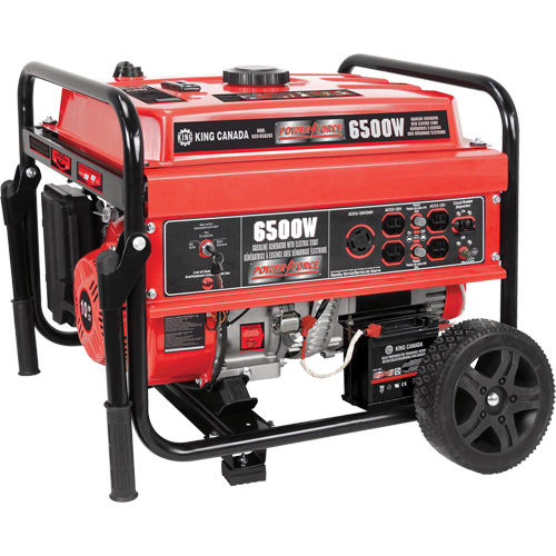 Electric Start Gas Generator with Wheel Kit, 6500 W Surge, 5000 W Rated, 120 V/240 V, 20 L Tank Ontario Packaging
