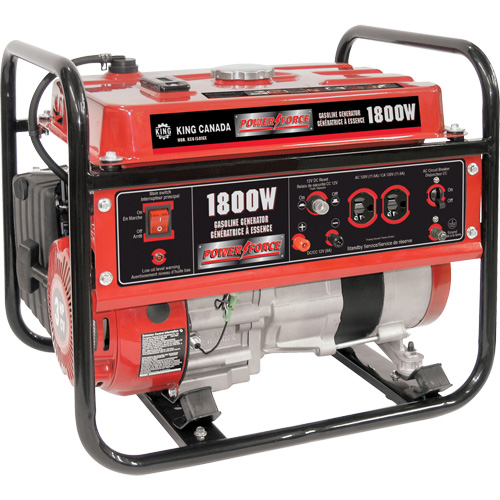 Gasoline Generator, 1800 W Surge, 1400 W Rated, 120 V, 7 L Tank Ontario Packaging