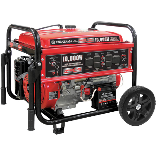 Gasoline Generator with Electric Start, 10000 W Surge, 7500 W Rated, 120 V/240 V, 25 L Tank Ontario Packaging