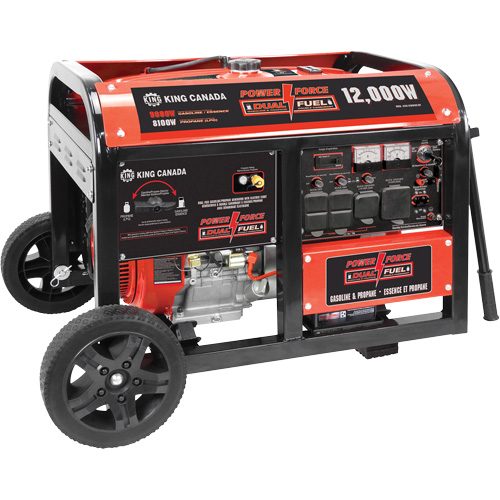 Gasoline/Propane Generator with Electric Start Ontario Packaging