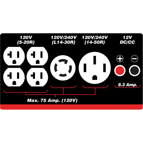 Gasoline/Propane Generator with Electric Start Ontario Packaging