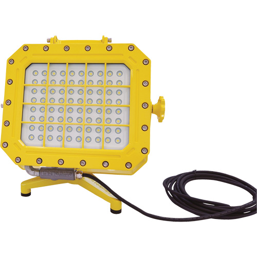 Explosion Proof Floodlight with Floor Stand, LED, 40 W, 5600 Lumens, Aluminum Housing Ontario Packaging