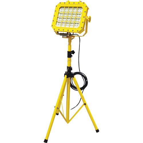Explosion Proof Floodlight with Tripod, LED, 40 W, 5600 Lumens, Aluminum Housing Ontario Packaging