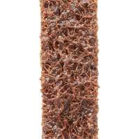 Scotch-Brite Surface Conditioning File Belts Ontario Packaging