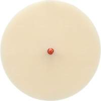 Disque Scotch-Brite 7502 pour retrait de colle et de bandes de moulage, 6" dia. Ontario Packaging