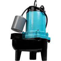 Pompe d'égouts électrique, 115 V, 11 A, 120 gal./min, 1/2 CV DC818 | Ontario Packaging
