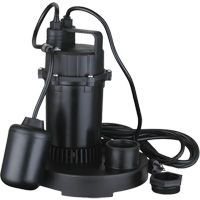 Thermoplastic Submersible Sump Pump, 2560 GPH, 115 V, 4.6 A, 1/3 HP DC843 | Ontario Packaging