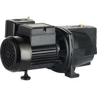Dual Voltage Cast Iron Shallow Well Jet Pump, 115 V/230 V, 1100 GPH, 1 HP DC853 | Ontario Packaging
