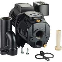 Dual Voltage Cast Iron Convertible Jet Pump, 115 V/230 V, 1400 GPH, 3/4 HP DC856 | Ontario Packaging