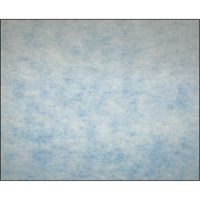 High-Arrestance Synthetic Media Filters, Pad, MERV 5, 24" W x 2" D x 12" H Ontario Packaging