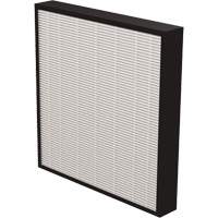 AeraMax&reg; Pro AM3 & AM4 2" True HEPA Filter, Box, 13.75" W x 2.25" D x 14.38" H Ontario Packaging