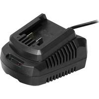 Single Battery Charger, 20 V Ontario Packaging