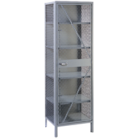 Wire Mesh Cabinet, Steel, 4 Shelves, 78" H x 24" W x 21" D, Grey FB015 | Ontario Packaging