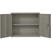 Armoire murale, Acier, 2 Tablettes, 30" h x 36" la x 12" P, Gris Ontario Packaging