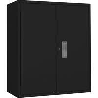 Armoire de rangement Lo-Boy, Acier, 2 Tablettes, 42" h x 36" la x 18" P, Noir Ontario Packaging