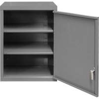 Armoire murale, 27" h x 13-11/16" la x 18" p, 2 tablettes, Acier, Gris Ontario Packaging