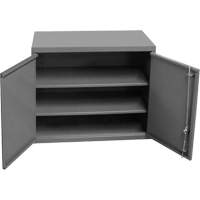 Armoire murale, 27" h x 13-11/16" la x 35-7/8" p, 2 tablettes, Acier, Gris Ontario Packaging