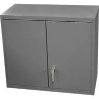 Armoire murale, 27" h x 13-11/16" la x 35-7/8" p, 2 tablettes, Acier, Gris Ontario Packaging