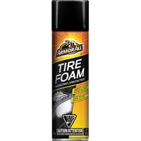 Tire Foam&reg; Protectant Ontario Packaging