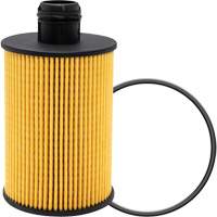 P40147 Lube Oil Filter Element Ontario Packaging