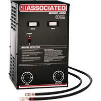 Powerful Performance Parallel Battery Charger Ontario Packaging