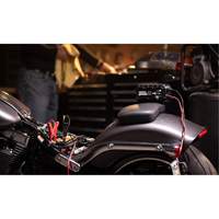 Chargeur de batterie 10 A Genius 10 Ontario Packaging