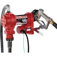 Pompe de transfert de carburant 12 V CC avec pistolet Ontario Packaging