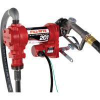 Pompe de transfert de carburant 12 V CC avec pistolet Ontario Packaging