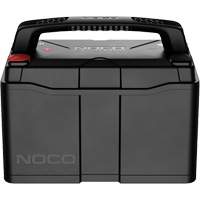 Batterie lithium-ion LiFePO4 &agrave; double usage de groupe 31, 120 Ah Ontario Packaging