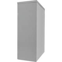 Armoire de rangement &agrave; hauteur de comptoir, Acier, 2 Tablettes, 42" h x 30" la x 15" P, Gris Ontario Packaging