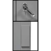 Armoire de rangement &agrave; hauteur de comptoir, Acier, 2 Tablettes, 42" h x 30" la x 15" P, Gris Ontario Packaging