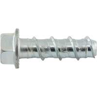 Boulons Wedge Bolts, Acier au carbone, 1/2" x 2" Ontario Packaging