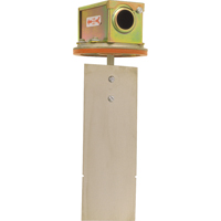 Modules & interrupteurs