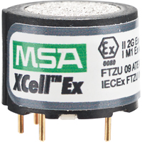 Gas Detection & Calibration Supplies