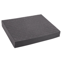 Replacement Foam for REED R8888 Ontario Packaging
