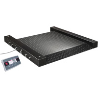 Defender 2500 Drum Scale, 1000 lbs. Capacity, 2.5' L x 2.5' W Ontario Packaging