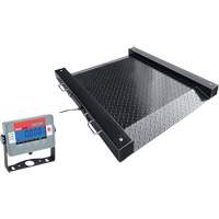 Balances de plancher DEFENDER, Capacit&eacute; de 1000 lb, 30" lo x 30" la Ontario Packaging