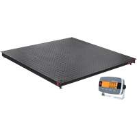 Balance de plancher DEFENDER 3000, Capacit&eacute; de 2500 lb, 48" la x 48" lo Ontario Packaging