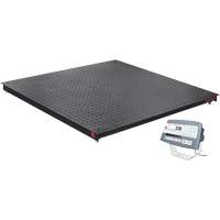 Balance de plancher DEFENDER 5000, Capacit&eacute; de 2500 lb, 48" la x 48" lo Ontario Packaging
