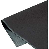 Tapis ColorStar, Essuie-pieds, 3' x 5' x 3/8", Charbon Ontario Packaging