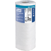 Kitchen Roll Towels, 2 Ply, 210 Sheets/Roll, 11" W, 9" L x JB580 | Ontario Packaging