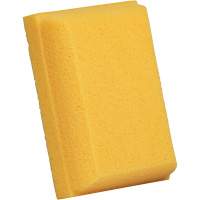 Grouting Sponges, Grouting, 5" W x 7" L Ontario Packaging