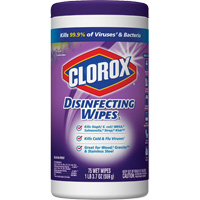 Disinfecting Wipes, 75 Count JO235 | Ontario Packaging