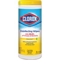 Disinfecting Wipes, 35 Count JO323 | Ontario Packaging