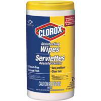 Disinfecting Wipes, 75 Count JO242 | Ontario Packaging