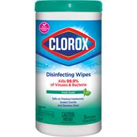 Disinfecting Wipes, 75 Count JO324 | Ontario Packaging