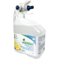 Concentrated Glass & Multi-Surface Cleaner, 4 L, Jug JP115 | Ontario Packaging