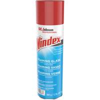 Windex&reg; Foaming Glass Cleaner, 560 g, Aerosol Can Ontario Packaging