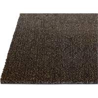 Tapis dint&eacute;rieur Palliser, Essuie-pieds/grattoir, 3-1/2' x 6' x 5/16", Anglis Ontario Packaging